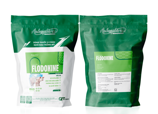 FLODOXINE - Điều trị viêm phổi, thương hàn, tụ huyết trùng