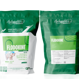 FLODOXINE - Điều trị viêm phổi, thương hàn, tụ huyết trùng