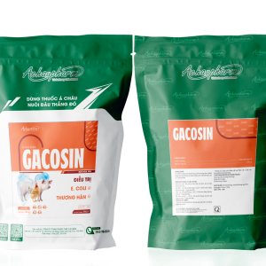 GACOSIN - Điều trị e.coli, thương hàn