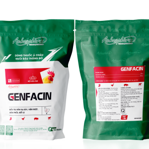 GENFACIN - Điều trị viêm dạ dày, viêm ruột, viêm phổi, kiết lỵ