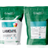 LAMOXYL - Điều trị crd, thương hàn, viêm phổi địa phương, tiêu chảy