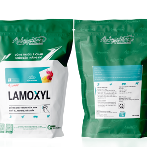 LAMOXYL - Điều trị crd, thương hàn, viêm phổi địa phương, tiêu chảy
