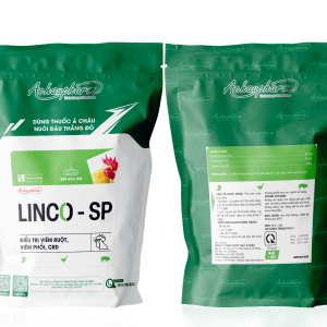 LINCO-SP - Điều trị viêm ruột, viêm phổi, crd