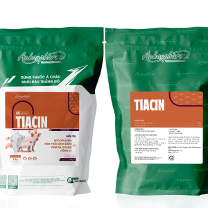 TIACIN - Điều trị mycoplasma, viêm phổi dính sườn, hồng lỵ