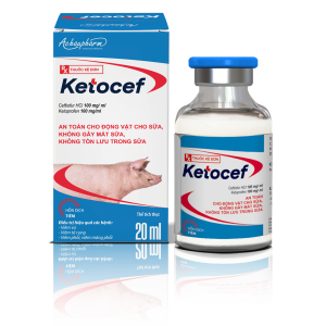KETOCEN 20ML - Trị bệnh đường hô hấp; nhiễm trùng đường tiêu hóa, hô hấp và tiết niệu
