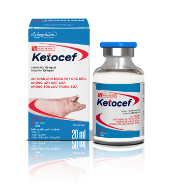 KETOCEN 20ML - Trị bệnh đường hô hấp; nhiễm trùng đường tiêu hóa, hô hấp và tiết niệu