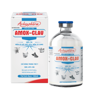 AMOX-CLAV - Điều trị viêm vú gây mất sữa, viêm tử cung