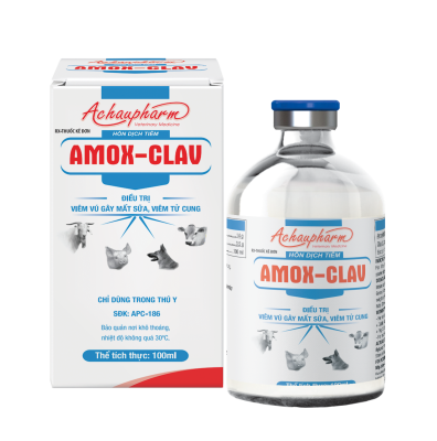 AMOX-CLAV – Điều trị viêm vú gây mất sữa, viêm tử cung