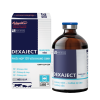 DEXAJECT - Kháng viêm, chống dị ứng, chống sốc