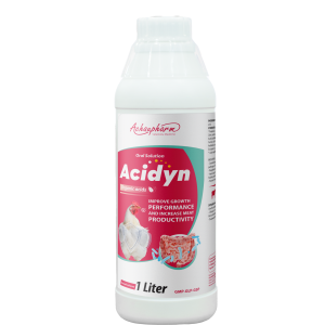 ACIDYN - Thay thế kháng sinh đường ruột, giúp đường ruột khỏe mạnh, giảm tiêu tốn thức ăn, giảm mùi hôi chuồng trại