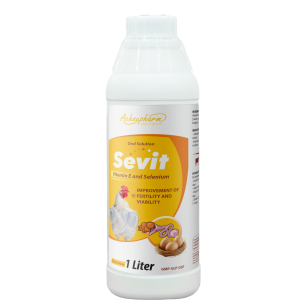 SEVIT - Siêu lên giống - đẻ khỏe - bền mái - tốt con non
